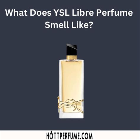 libre ysl perfume ad|YSL libre perfume smell like.